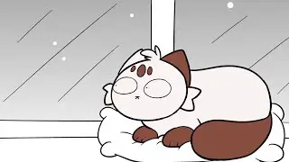 cat vs snow