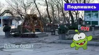 Одесса. Кот на ветке.Выгуляли 14pro max (test)