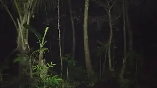 ADA POCONG MERINTIH MINTA DILEPAS TALINYA