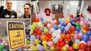 Fitzy & Wippa Stitch Up Their Boss - Balloon Pit Of Doom