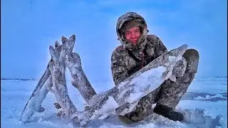 БЕДА, А НЕ РЫБАЛКА!! ДИКИЙ ЖОР ЩУКИ В ЗАПОЛЯРНУЮ МЕТЕЛЬ !!!