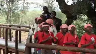 Wilderness Safaris - Building Social Equity