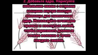 Мастер-класс 