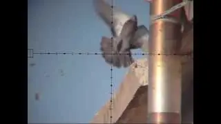 Я ПРОТИВ ЖЕСТОКОСТИ ! - 2