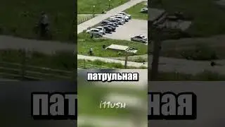 Машина или самокат?