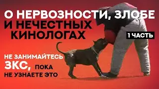 Не занимайтесь ЗКС (Защитно-Караульной службой) пока не посмотрите это видео. Security training.