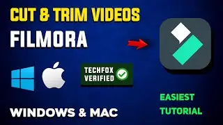 How to Cut and Trim Videos in Filmora - Full Guide