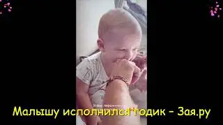 Годовалый сын Нюши забавно играет с папой