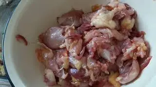 Мясо перепела qegg/Мясная порода перепела Альбинос Техасский Хитручкин перепел