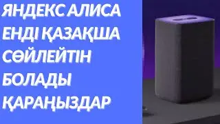 Дауыстық көмекші 