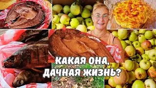Праздник в Эстонии.Подарок от подписчицы.Про стрим.Запеканка из кабачка.Хуторские продукты и рыба