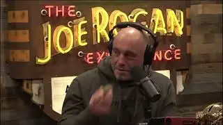 Joe Rogan: Gold miner finds Mammoth bones!?