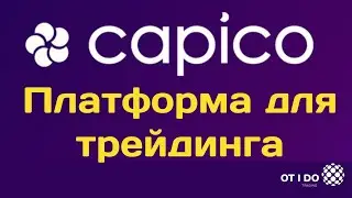 ПЛАТФОРМА ДЛЯ ТРЕЙДИНГА КАПИКО I САМОЕ ВАЖНОЕ В CAPICO