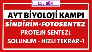 AYT KARIŞIK KONU ANLATIMI 1 ( HIZLI TEKRAR ) SİNDİRİM-PROTEİN SENTEZİ- FOTOSENTEZ - SOLUNUM