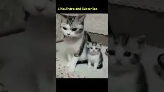 like mother like daughter meow😻🐱!