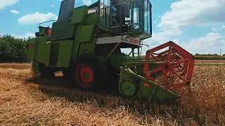 ЖНИВА 2022. Молотимо ячмінь, пшеницю. Трохи про поломки Claas Mercator 70. Працюємо як можемо.