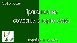 Согласные в корне слова - правописание непроизносимых, проверяемых и непроверяемых согласных