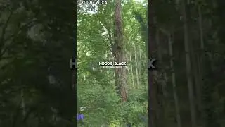 Cop barks like a K 9 to trick and arrest a car thief #foryou #fypシ #trending #bodycam #policebodycam