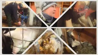 Опять начала фИЛОНИТЬ🤣Обеденная управа//