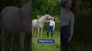 The Reveal 😯