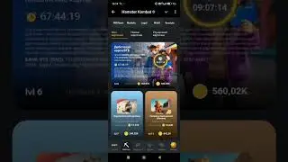 Комбо карты Hamster Kombat 23 - 24 августа 2024: карты, секреты и как найти комбо сегодня в Хомяке