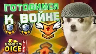 Готовимся к PvP | RANDOM DICE LIVE