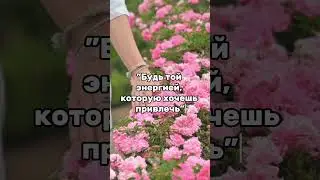 ЧТО ИЗЛУЧАЕШЬ, ТО И ПОЛУЧАЕШЬ! #энергия #духовность #психология #саморазвитие #счастье