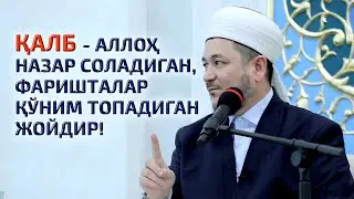 Қалб   Аллоҳ назар соладиган, фаришталар қўним топадиган жойдир!