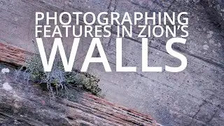 Picking Out Details In Zion's Canyon Walls | Zion Fall Photography - Episode 6