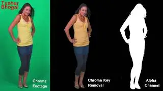 Chroma Key Removal in After Effect CC 2017
