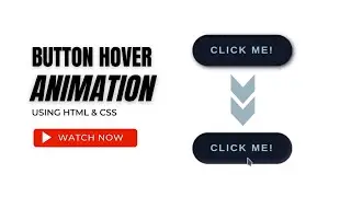 CSS3 Button Hover Animation Effects || CSS Animation