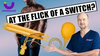 Penile implants: PROS & CONS | UroChannel