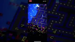 PAC-MAN 256