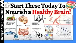 START Doing These TODAY To Nourish a Healthy Brain!  Your Brain Will Thank You!