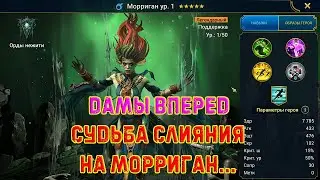 Raid SL/Дамы вперед!👩‍🦰 Прохождение только девушками!#17 Морриган!