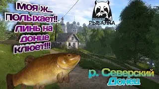 РУССКАЯ РЫБАЛКА 4 | У МЕНЯ ГОРИТ ЖОП...!! ЛИНЬ НА ДОНЦЕ