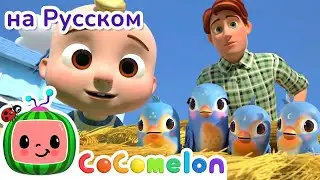Песня про Маленькую Птичку - Новая Серия | CoComelon на русском — Детские песенки