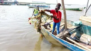 How Fish Gets From LAKE VICTORIA straight to your plate.