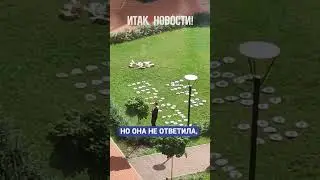 В Санкт-Петербурге молодой парень оригинально извинился перед девушкой! | Итак, новости!