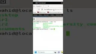 Jupyter Lab: The alias VS gnome-terminal