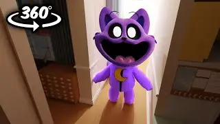 Smiling Critters CATNAP 360° - IN YOUR HOUSE!