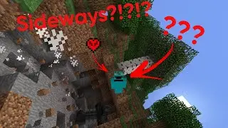 Minecraft, But It's Torture...