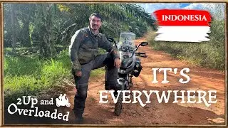 I visited Indonesia’s $5.7 Billion Palm Oil industry – Surprising Lessons I Learned 🇮🇩 [SE E64]