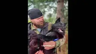 об отношение к животным и людям!