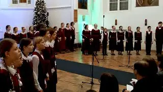 Immortal Bach. БДХ, 2023 г.