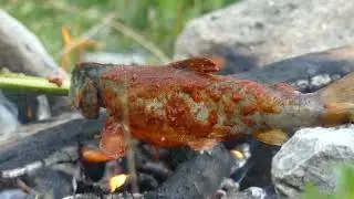 Мохигири бо шаст 
