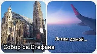 ВЕНА АВСТРИЯ 🇦🇹 СОБОР СВ.СТЕФАНА Stephansdom ⛪КРАСИВЫЙ ПОЛЕТ ДОМОЙ✈️