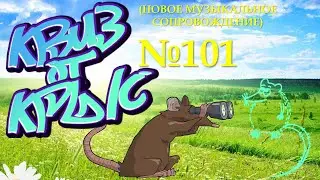КВИЗ от КРЫС эпизод 101 (новое музыкальное сопровождение)