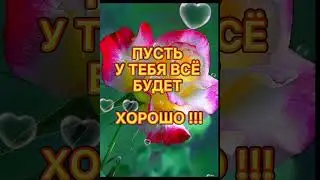 С Добрым Утром !!!