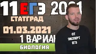 ЕГЭ 2021 | БИОЛОГИЯ | РАЗБОР СТАТГРАДА | 01 03 2021 | 1 вариант